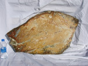 30-inch-slab Oregon picture jasper