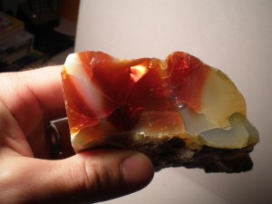 Tropical Opal from Oregon