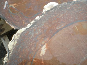 Oregon Orbicular Jasper