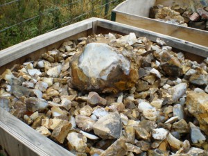 Ocean Agate from Oregon USA container loads available