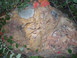 Oregon picture jasper
