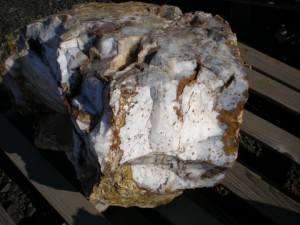 Ocean Agate from Oregon USA container loads available