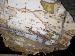 Ocean Agate from Oregon USA container loads available
