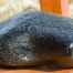frogskin_cobble_9