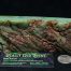 Dragonskin Wyoming Nephrite Apple Green Jade