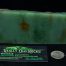 Dragonskin Wyoming Nephrite Apple Green Jade