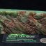 Dragonskin Wyoming Nephrite Apple Green Jade
