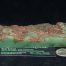 Dragonskin Wyoming Nephrite Apple Green Jade