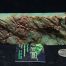 Dragonskin Wyoming Nephrite Apple Green Jade