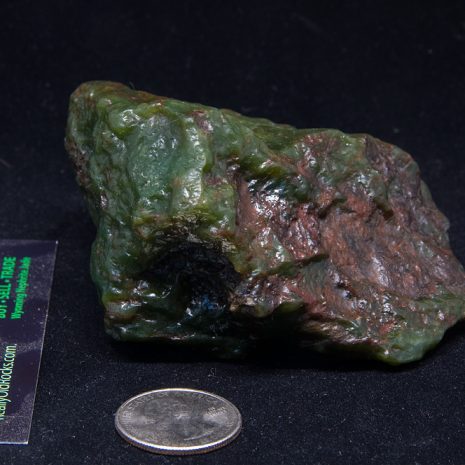 Wyoming Nephrite Jade specimen of Apple Green/Emerald Turtleback jade