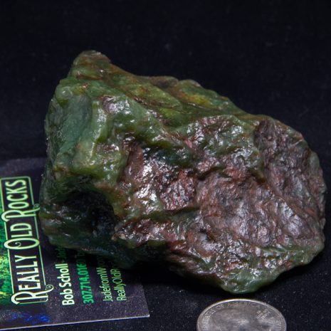Wyoming Nephrite Jade specimen of Apple Green/Emerald Turtleback jade