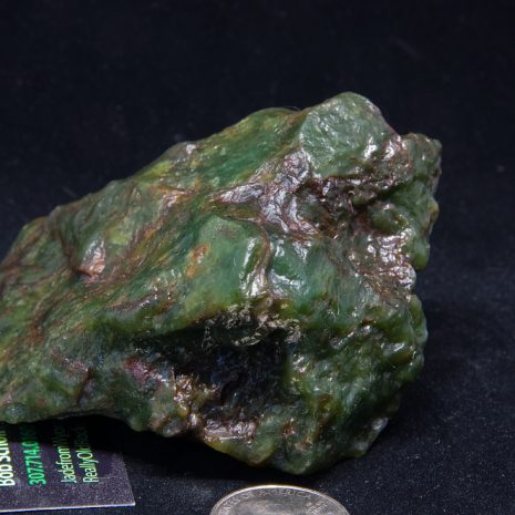 Wyoming Nephrite Jade specimen of Apple Green/Emerald Turtleback jade