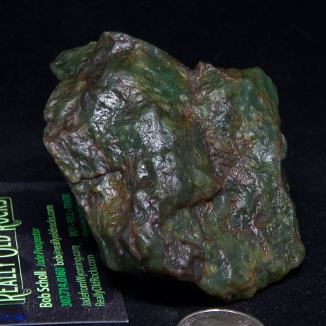 Wyoming Nephrite Jade specimen of Apple Green/Emerald Turtleback jade