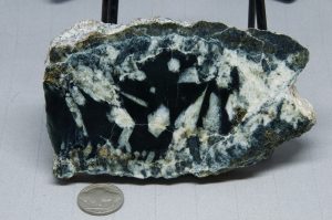 Rare Edwards Black Nephrite Jade with Quartz Crystals