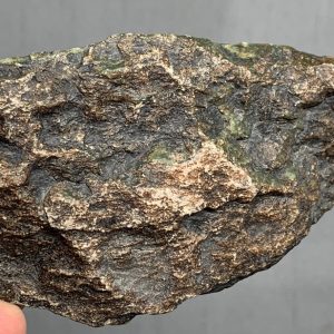 Turtleback - Bull Canyon Wyoming nephrite jade wind slicked specimen