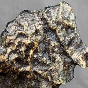 Turtleback - Bull Canyon Wyoming nephrite jade wind slicked specimen