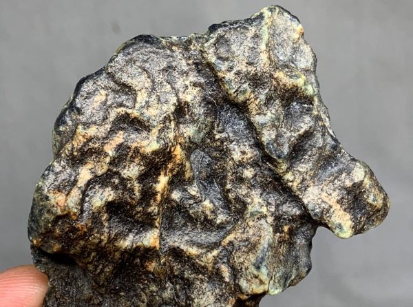 Turtleback - Bull Canyon Wyoming nephrite jade wind slicked specimen