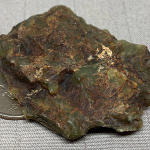 Turtleback - Bull Canyon Wyoming nephrite jade wind slicked specimen - apple green