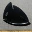 fish_1b
