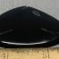 fish_1c