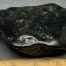Wyoming black nephrite jade river cobble from the N. Platte River.