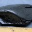 Wyoming black nephrite jade river cobble from the N. Platte River.