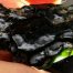 Dark Emerald Cinder nugget of Wyoming nephrite jade with crystal pockets