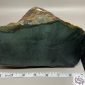 Sage Bull Canyon Wyoming nephrite jade with dendrites