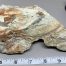 Apple/Olive Wyoming Nephrite Jade Wind Slick w/polished areas
