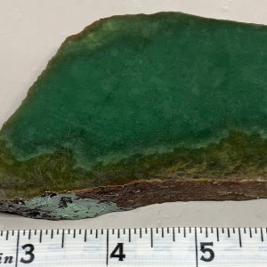 Apple Green Wyoming Nephrite jade slab possible Bull Canyon.